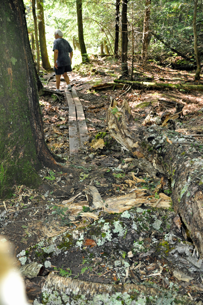 Lee Duquette hiking to Greenstone Falls